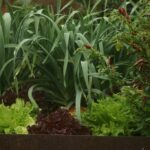 Bergbauernhof in der Steiermark