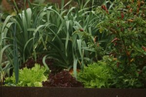 Garteln auf dem Bauernhof